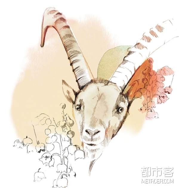 白羊座 白羊座