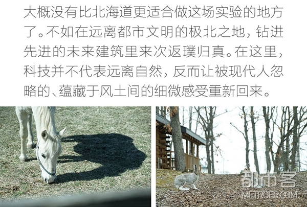 北海道 北海道