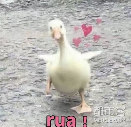 母亲节送礼,陈飞宇陈虹,陈伟霆,王嘉尔,抗老抗皱面霜 母亲节送礼,陈飞宇陈虹,陈伟霆,王嘉尔,抗老抗皱面霜