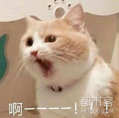 母亲节送礼,陈飞宇陈虹,陈伟霆,王嘉尔,抗老抗皱面霜 母亲节送礼,陈飞宇陈虹,陈伟霆,王嘉尔,抗老抗皱面霜