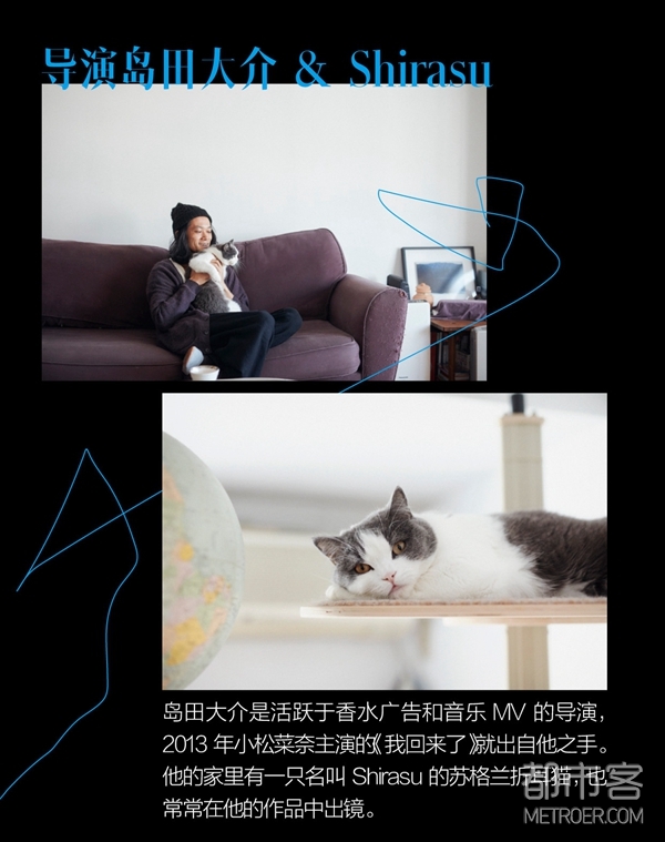 也许在日本 每一位创意人都有一只灵感缪斯猫 第5页 优享生活 都市客资讯频道